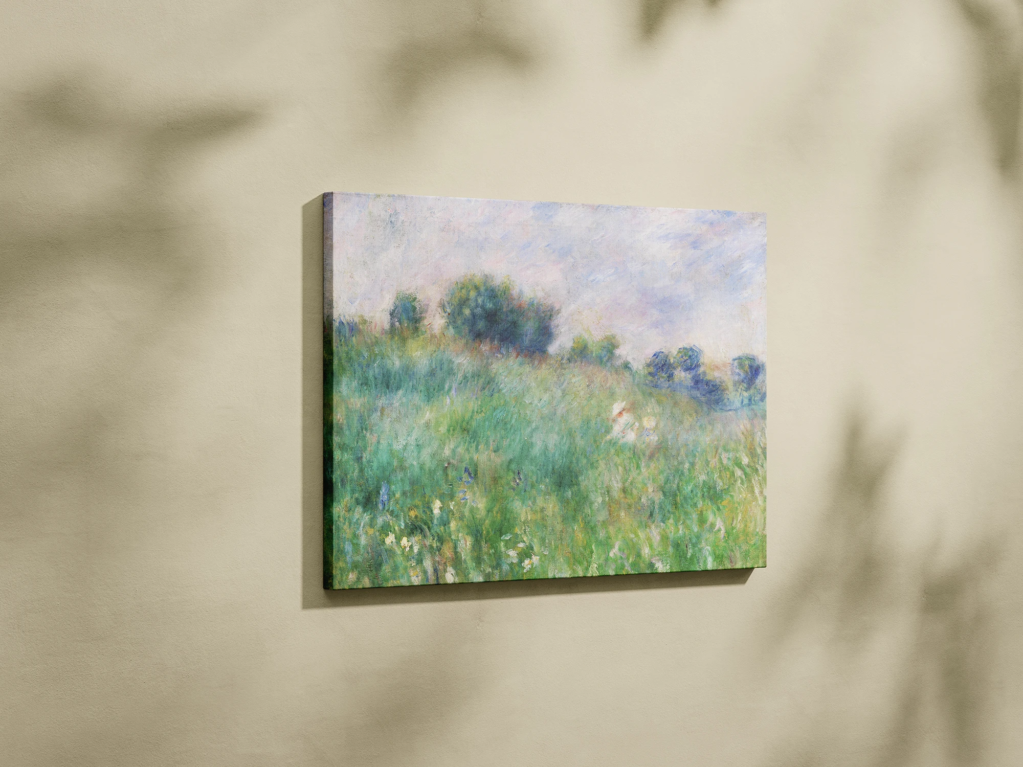 Կակաչների դաշտ